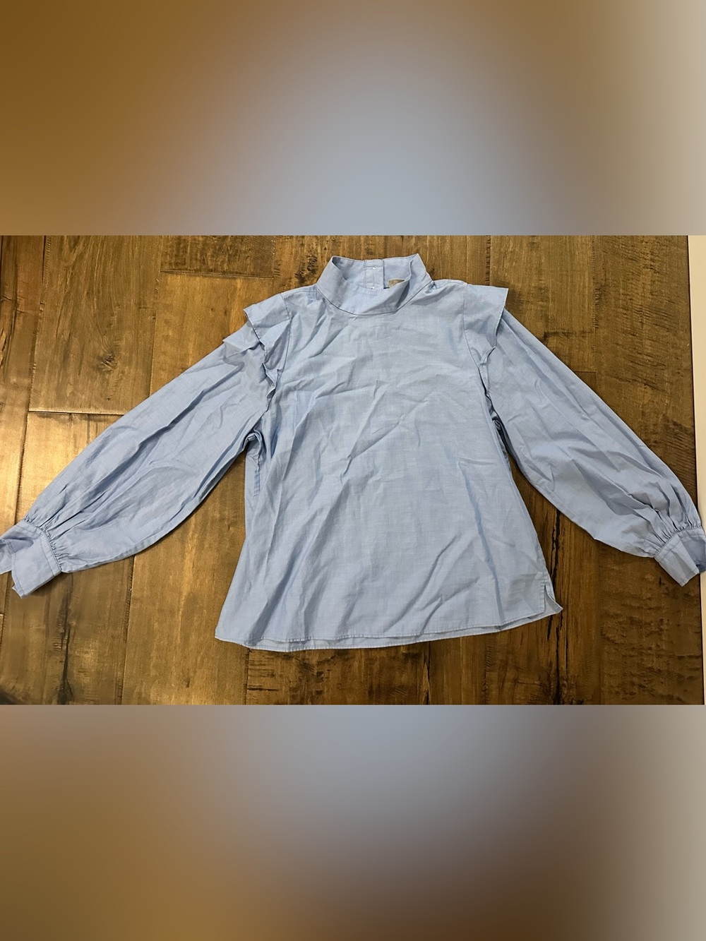 Everlane Light Blue Long-Sleeve Mock Neck Button-Down Shirt